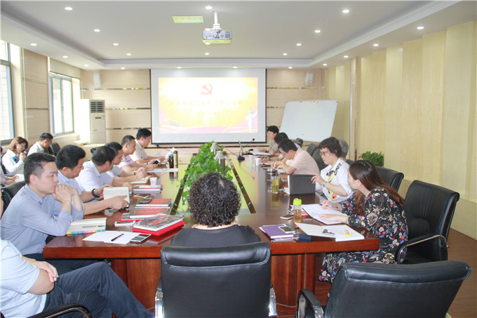 天泓集團黨委開展“兩學一做”中心組學習暨“七一”專題黨課會