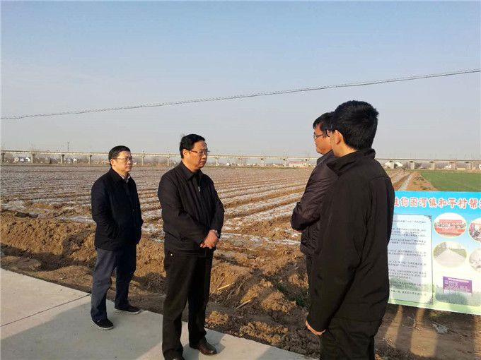 王正喜董事長到集團掛鉤幫扶村調研扶貧工作