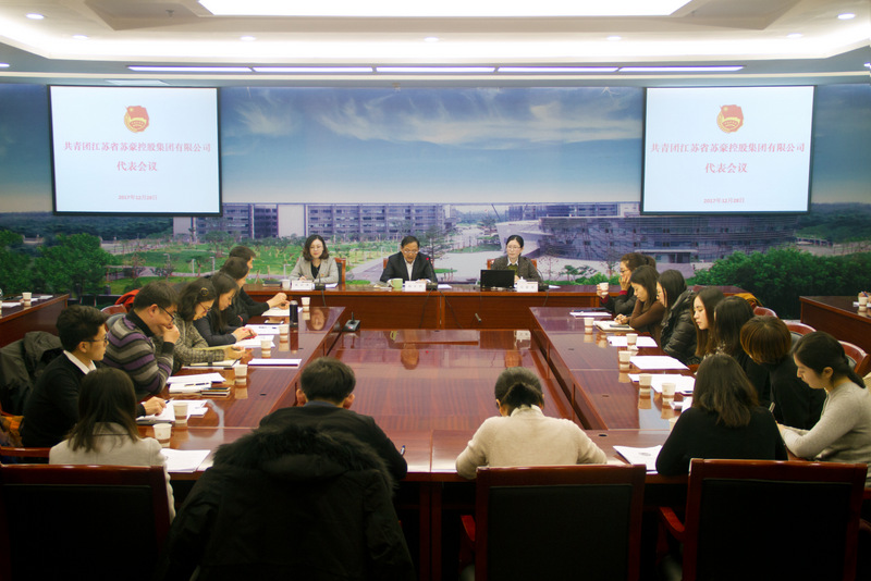 共青團蘇豪控股集團代表會議順利召開
