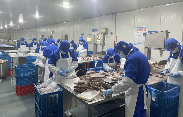 1707358965450311.jpg 春節備貨忙 保供不打烊 “海企肉食”讓年夜飯“牛味十足”_副本.jpg